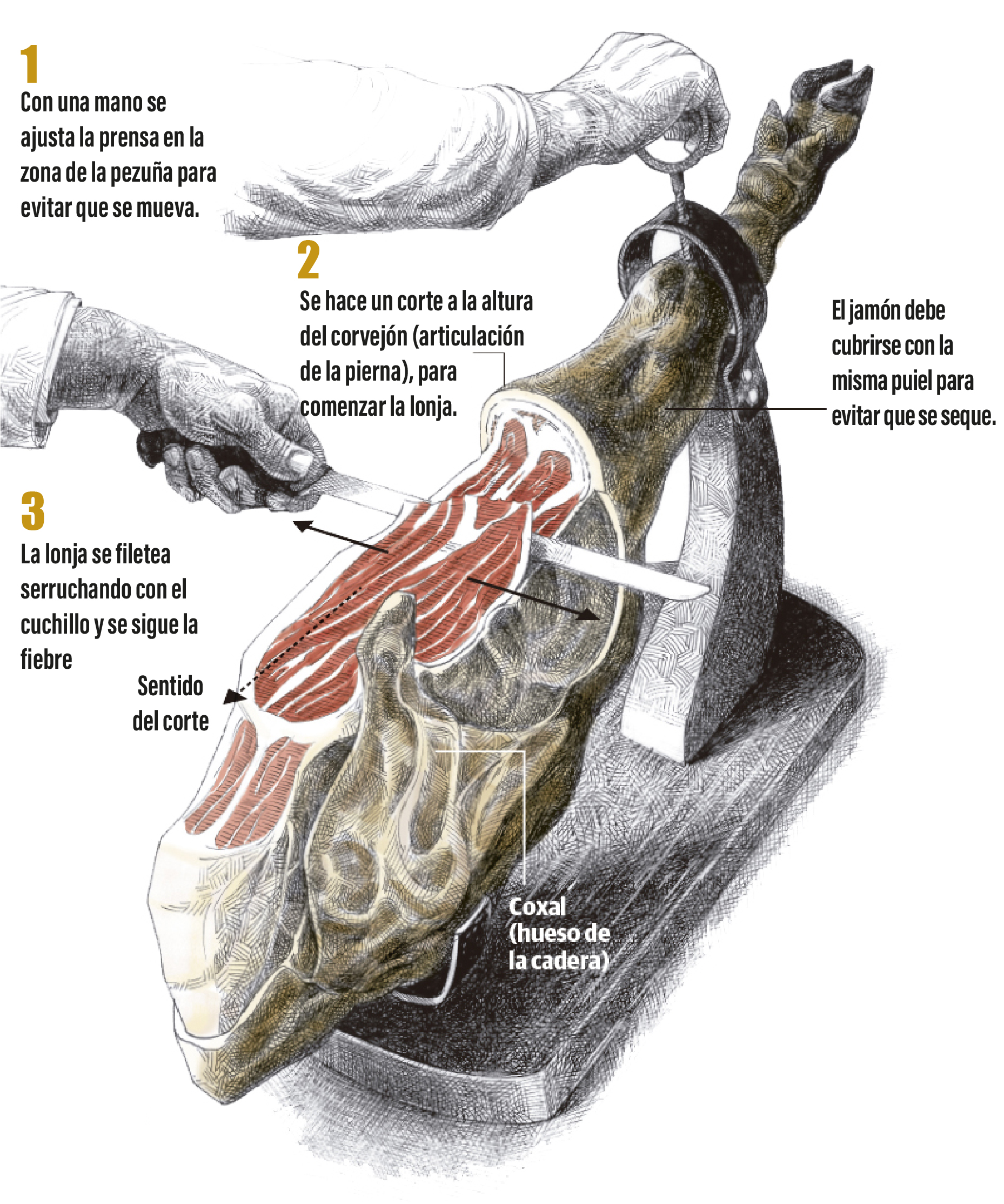 como cortar jamon ibérico