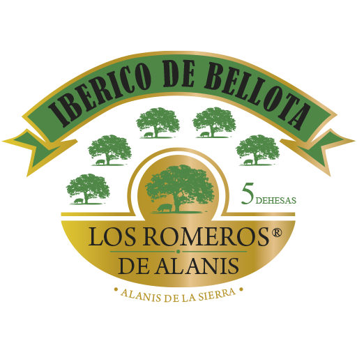 logo los romeros de alanis