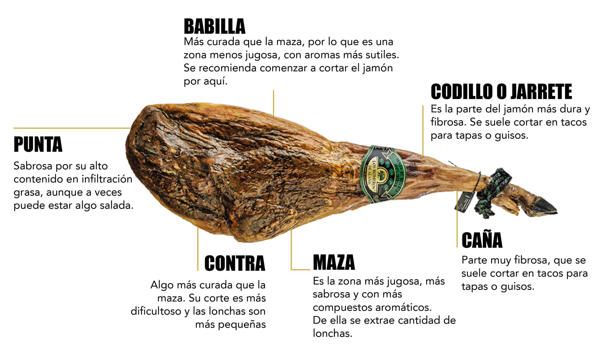 partes del jamón ibérico